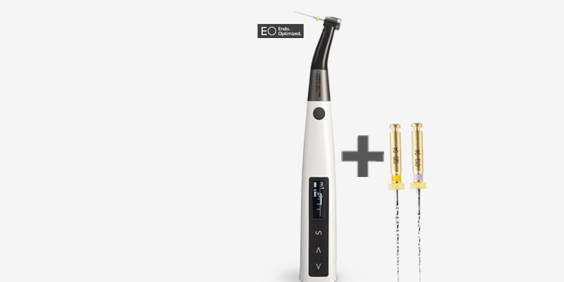 Endo Motor Mani Feilen