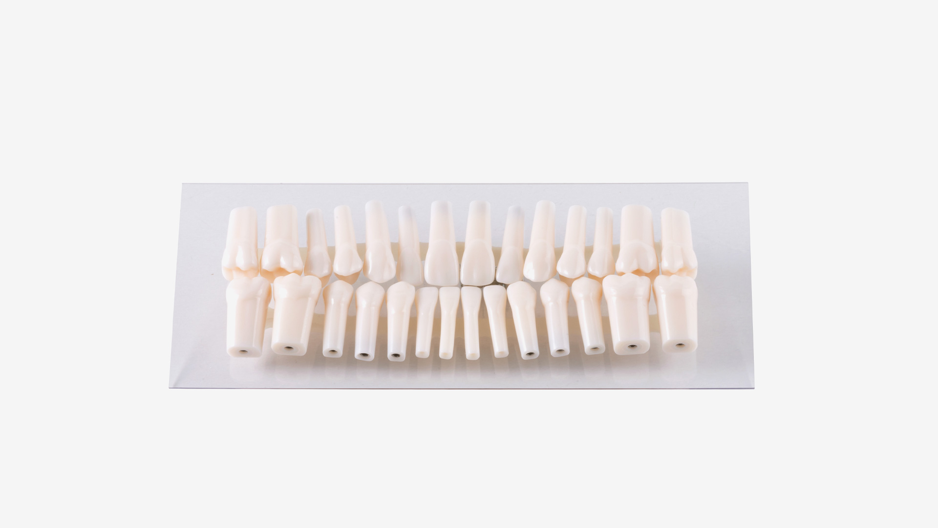 A5H-500-xx Einzelner Permanenter Zahn