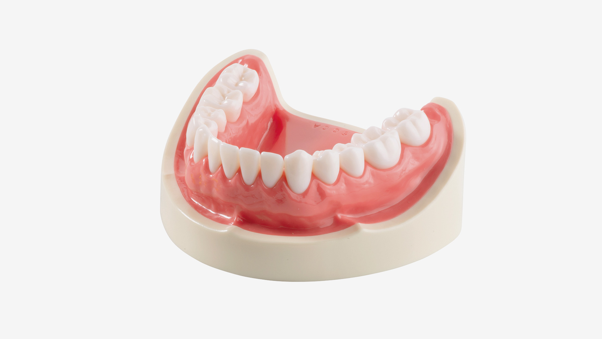 Basismodell E50H-500 AL, UK mit hartem pinkfarbenen Zahnfleisch, mit verschraubten Zähnen